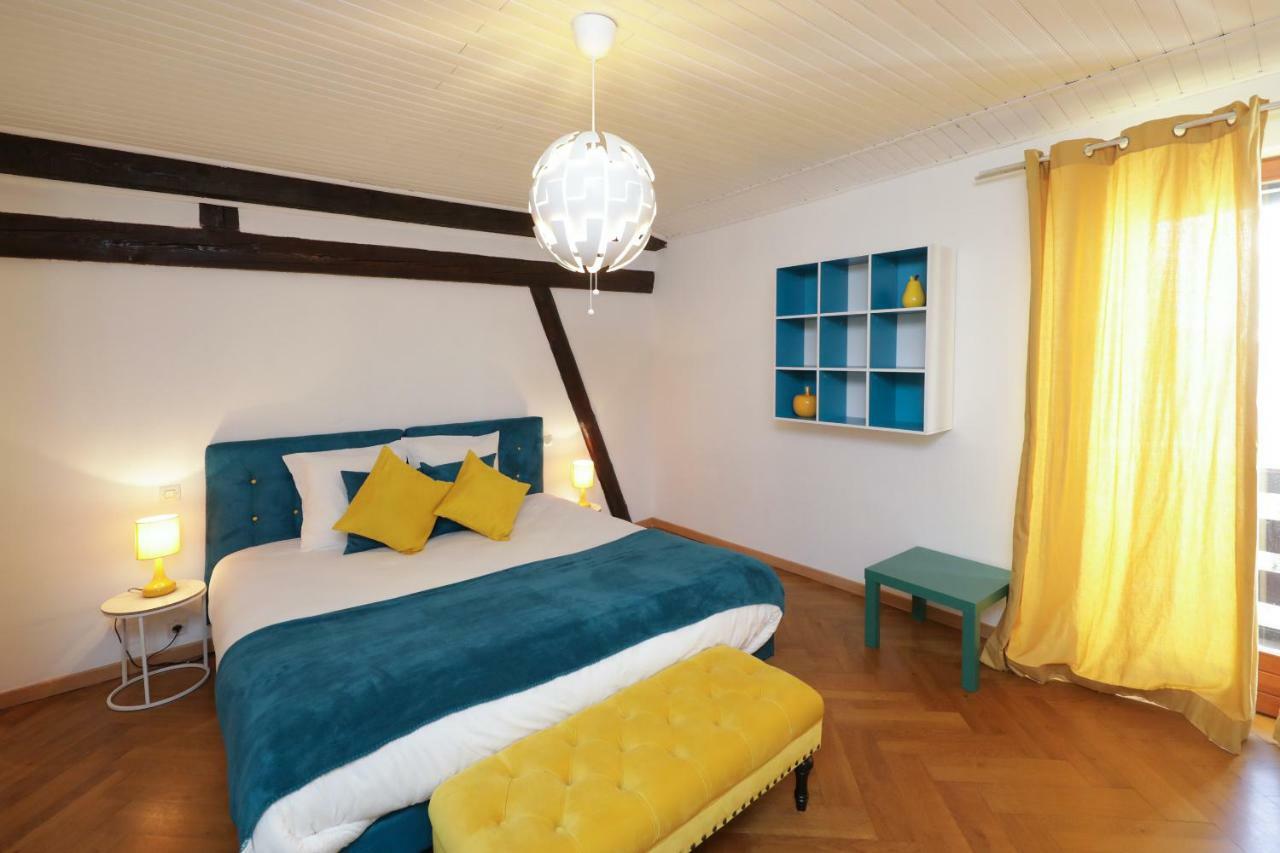 Maison Centre Ville Colmar Jacuzzi Jardin Et Climatisation Kültér fotó